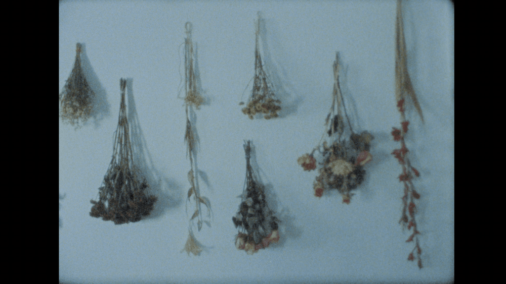 Um Quarto na Cidade (A Room in Town), João Pedro Rodrigues and João Rui Guerra da Mata (2021). Video Still.