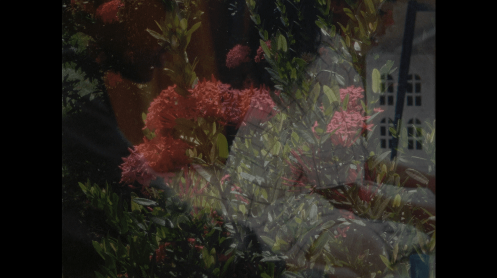 film still showing a floral super imposed abstract image on a black background 